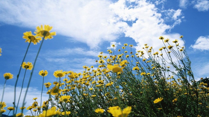 Мінлива хмарність, переважно без опадів: прогноз погоди на 22 травня