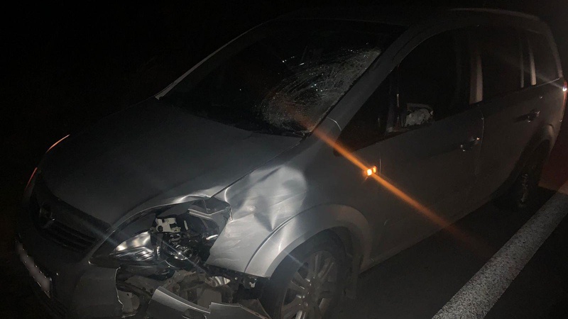 Судитимуть водіїв, які спричинили смертельні ДТП на Волині