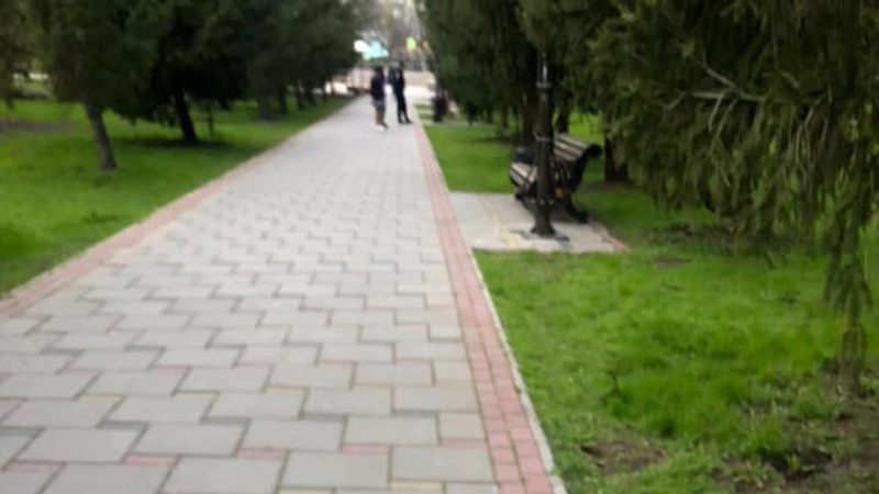 У луцькому парку кримінальник побив жінку: постраждала в лікарні