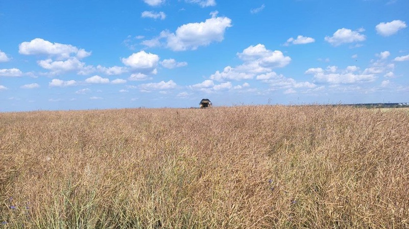 За місяць ринку землі на Волині власники паїв продали 255 гектарів