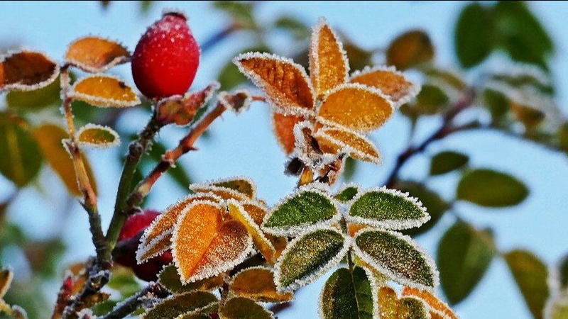 Волинські синоптики попереджають про заморозки: прогноз погоди на завтра, 22 вересня