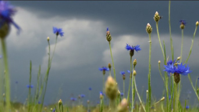 Яка погода очікується завтра, 3 вересня