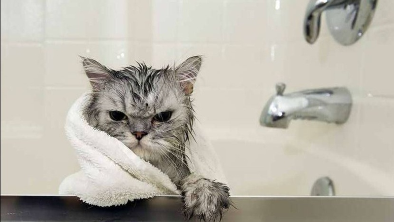 Низка вулиць у Володимирі залишиться без води