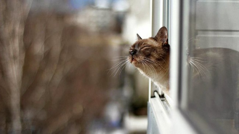 Хмарно, переважно без опадів: прогноз погоди на 24 лютого