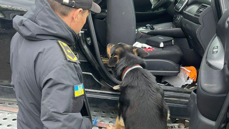 На «Устилузі» кінологи з собаками знайшли у громадян набої та наркотики