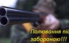 За вересень на Волині браконьєри застрелили червонокнижних зубра, оленя та лося