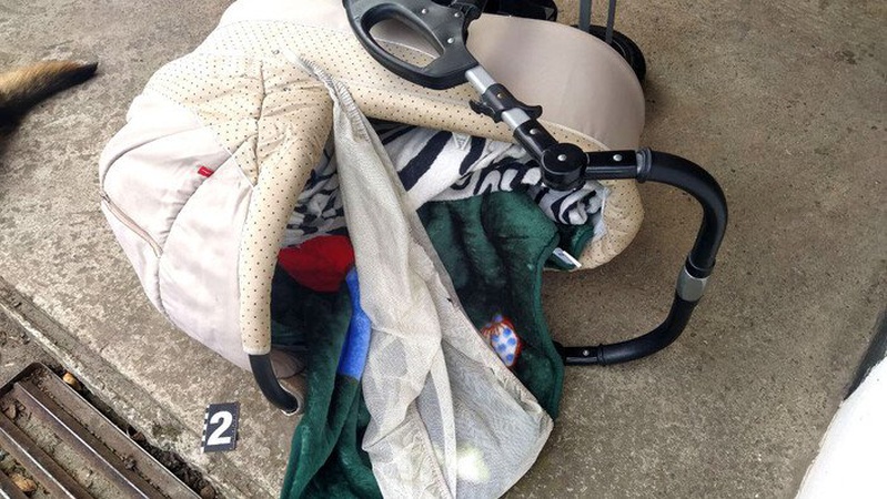 На Рівненщині домашня вівчарка смертельно травмувала немовля