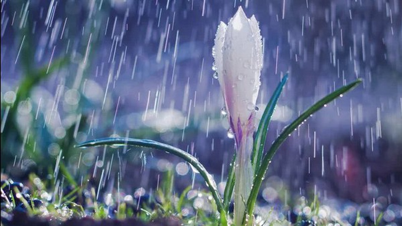 Дощ у низці областей: прогноз погоди на 24 березня