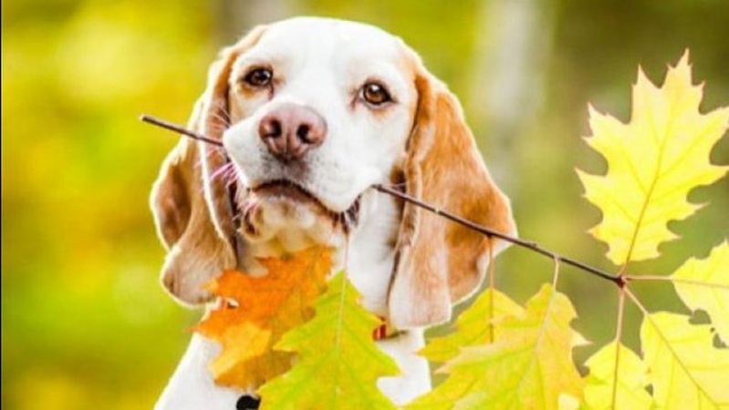Тепло, місцями дощі з грозами: прогноз погоди на 12 вересня