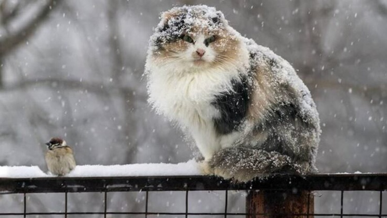 Місцями опади та ожеледиця: прогноз погоди на 3 січня