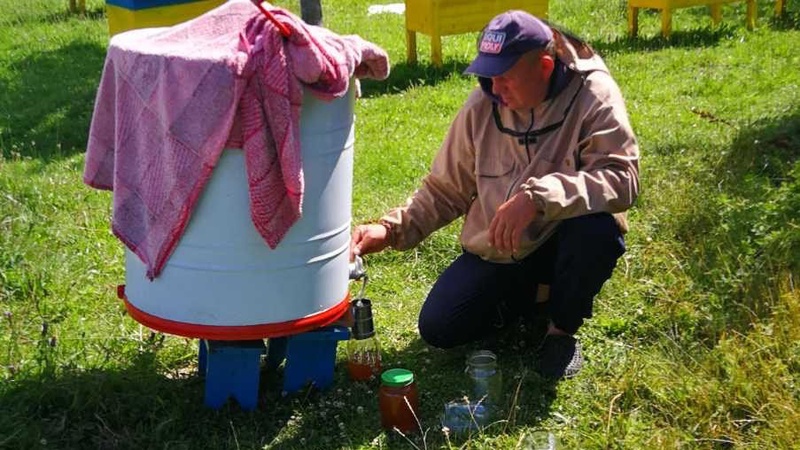 На пасіці Маневицького лісгоспу викачали перший мед