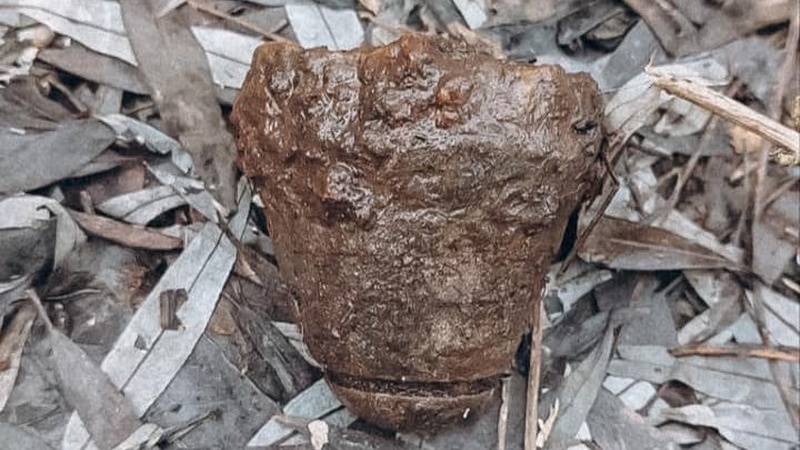 На Волині знайшли частину старого снаряду часів минулих війн