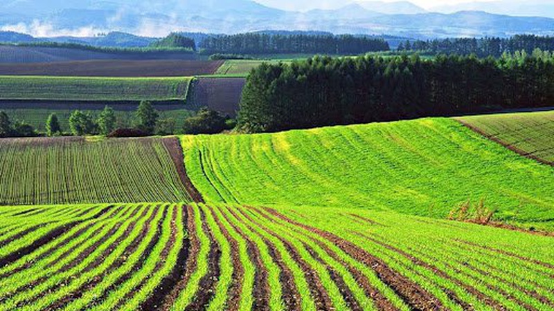 У громаду на Волині повернули землі зі ставками вартістю понад 222 мільйони гривень