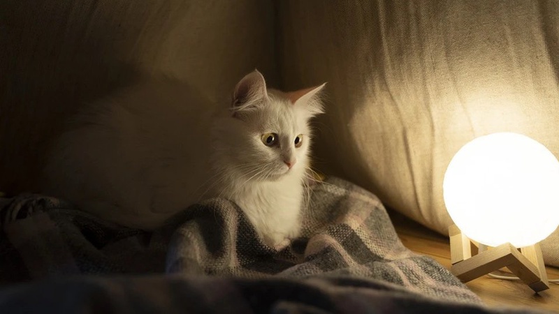 Де на Волині вимикатимуть світло 20 червня: графік