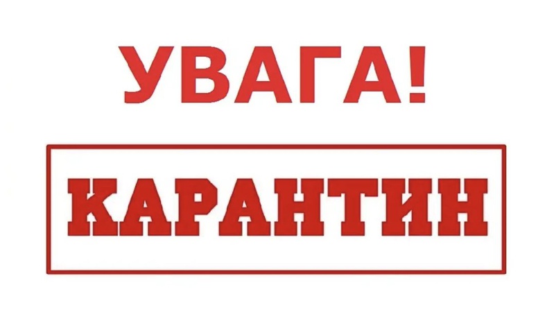 У селі на Волині оголосили карантин через спалах африканської чуми