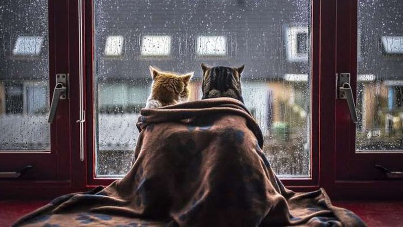 Чи дощитиме в Луцьку завтра, 14 травня