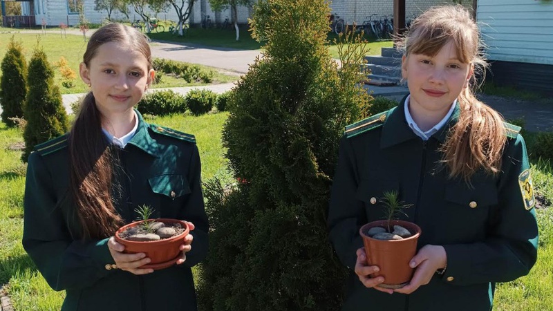 На Волині ліцеїсти вирощують карликові дерева