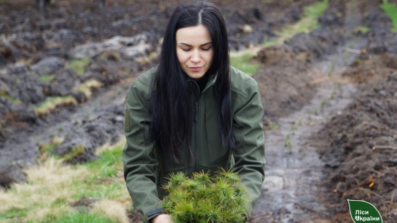 За три місяці на Волині та Рівненщині планують висадити 18 млн саджанців дерев