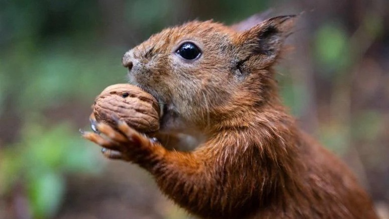 До України йде потепління: прогноз погоди на 19 грудня