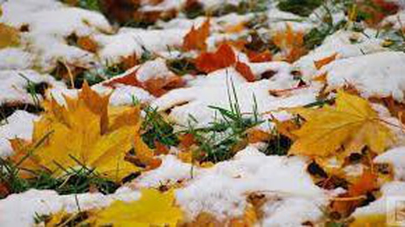 У Черкасах випав перший сніг