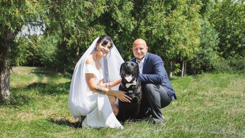 Липневий «весільний бум» на Волині. ФОТО