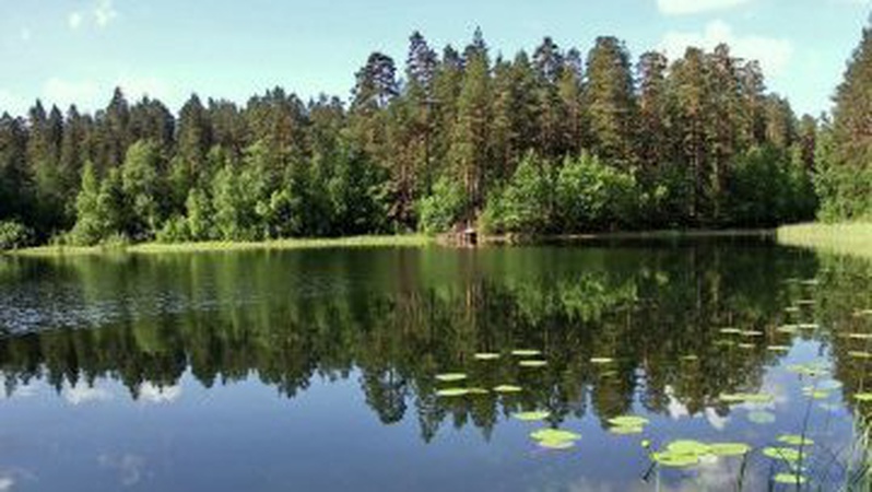 В Україні є озеро, яке не має дна