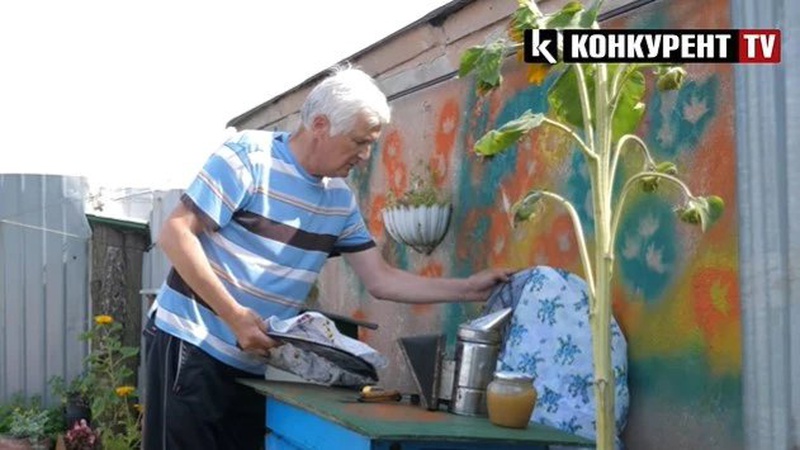 Лучанин на даху багатоповерхівки встановив вулики з майже 400 тисяч бджіл