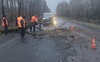 На Волині вітровій повалив дерева. ФОТО
