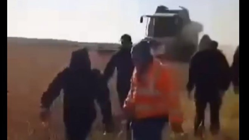 На Волині фермер з тітушками зібрав урожай з поля, засіяного людьми. ВІДЕО