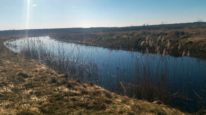 У волинську річку потрапили трансформаторні мастила