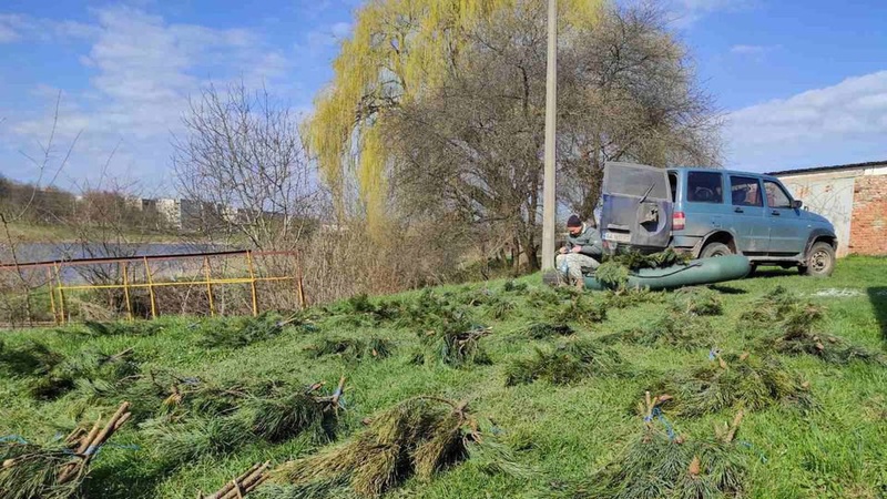На озері в Нововолинську встановили штучні нерестові гнізда