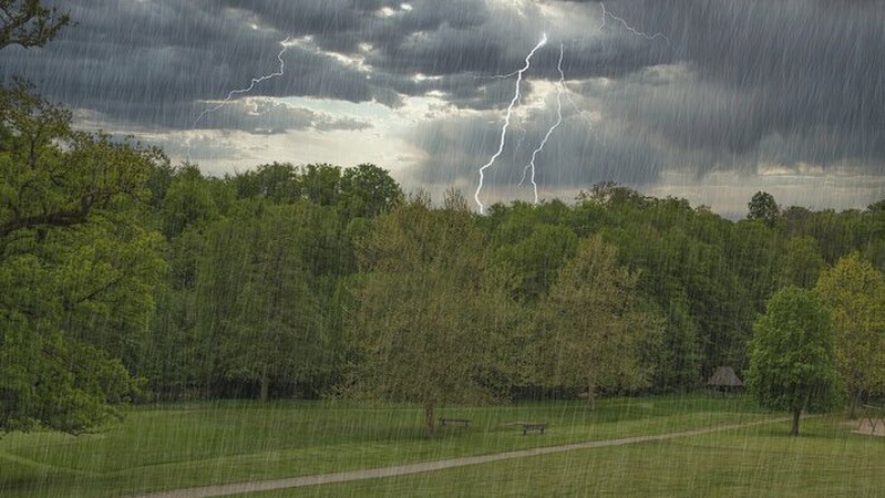 Низку областей накриють короткочасні дощі: прогноз погоди на 14 червня