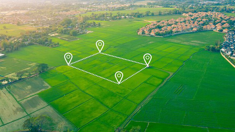 На Волині земельні ділянки площею понад 260 га, якими користувався вищий навчальний заклад, повернули в державну власність
