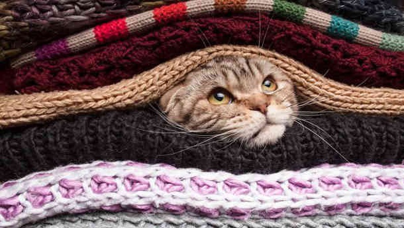 Морозно, місцями опади: прогноз погоди на 9 грудня