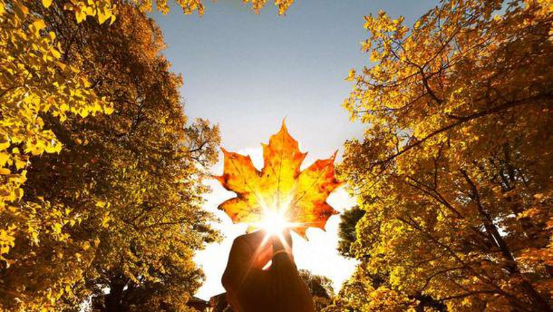 Синоптики спрогнозували погоду на Волині у вівторок, 16 листопада