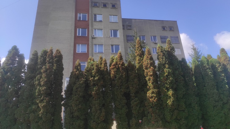 Повідомили про ситуацію у ковідному шпиталі в Боголюбах на 7 лютого