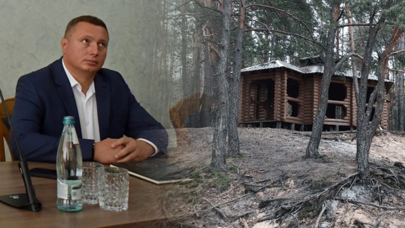 Погуляйко за два роки роздав 24 гектари лісу