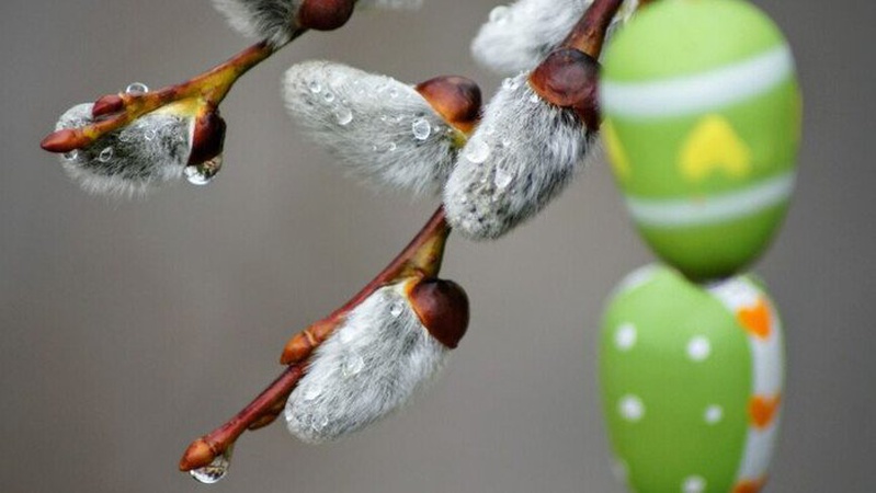 Помірний дощ та хмарно з проясненнями: пргноз погоди в Україні на 16 квітня