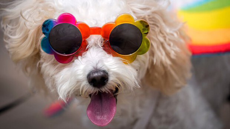 Спекотно і без опадів: прогноз погоди на 25 серпня