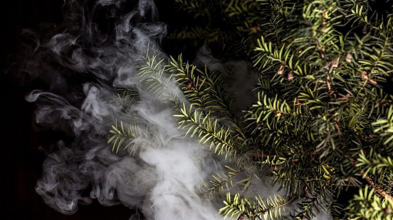 У Луцьку горіла ялинка. ВІДЕО