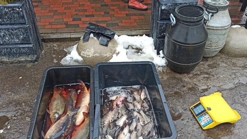 Скільки порушників виявили під час рибоохоронного рейду на Волині