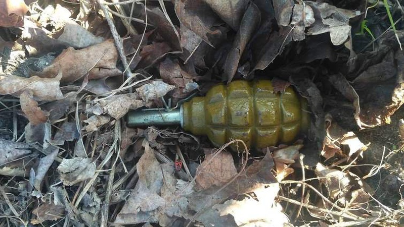 Волинянина, який кинув гранату на подвір’я односельця, взяли під варту