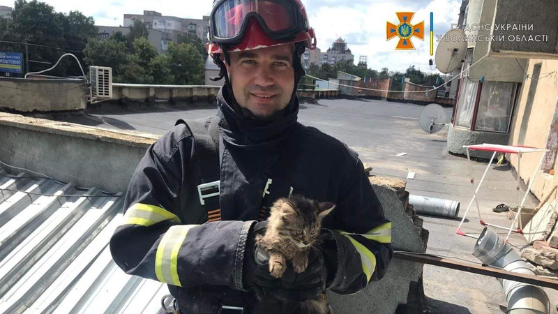 Рятувальники дістали кошення з вентиляційної шахти луцької багатоповерхівки