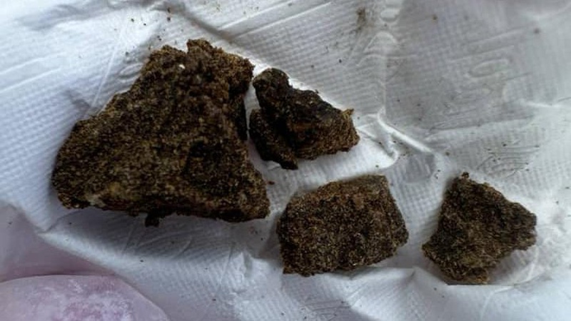 На Волині патрульні затримали осіб із наркотиками