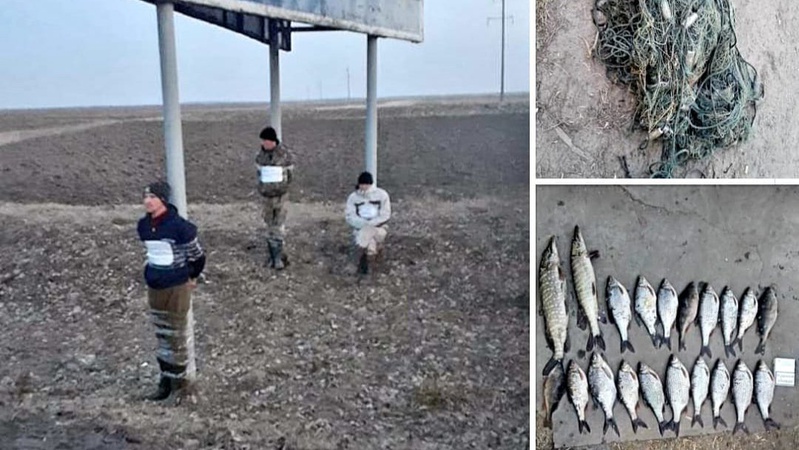 У селі на Волині браконьєрів прирівняли до мародерів. ФОТО