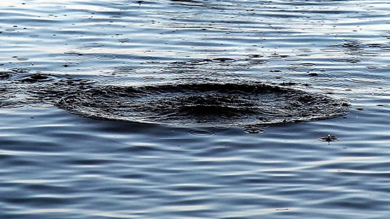 На Волині у ставку втопився чоловік