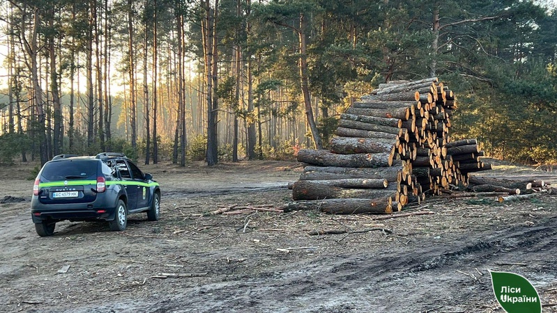 На Волині виявили незаконну рубку лісу