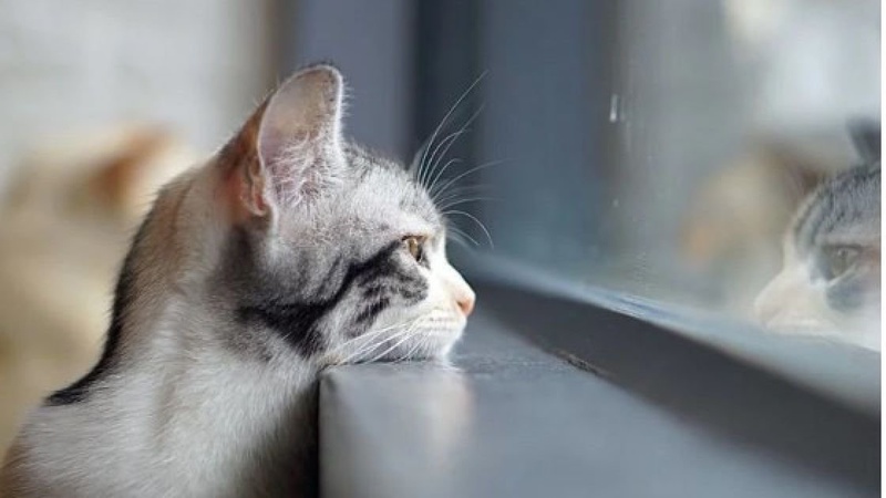 Волинські синоптики опублікували прогноз погоди на п’ять днів