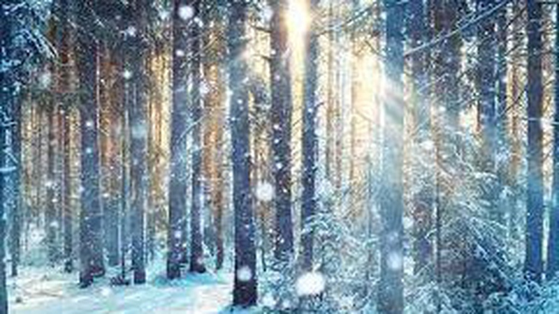 Що прогнозують волинські синоптики на завтра, 9 грудня