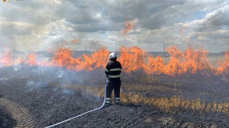 На Волині оголосили найвищий рівень пожежної небезпеки